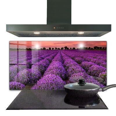 Kitchen glass panel Lavender field landscape