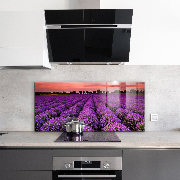 Kitchen glass panel Lavender field landscape