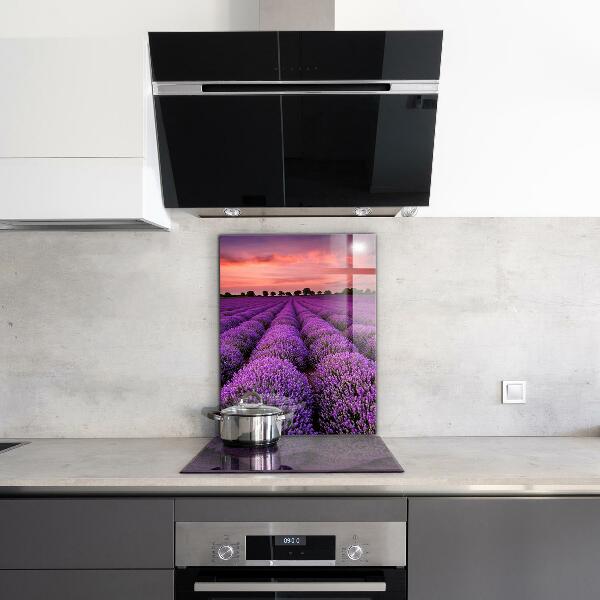 Kitchen glass panel Lavender field landscape