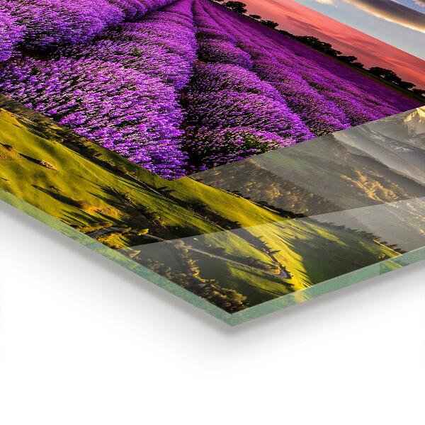 Kitchen glass panel Lavender field landscape