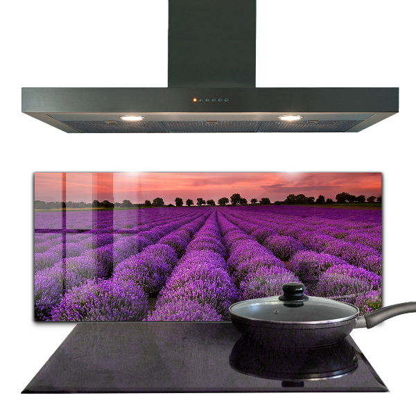 Kitchen glass panel Lavender field landscape