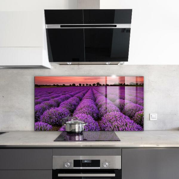 Kitchen glass panel Lavender field landscape