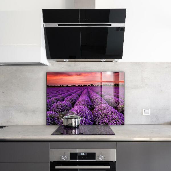 Kitchen glass panel Lavender field landscape