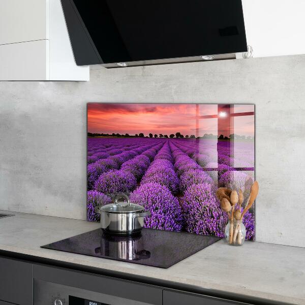 Kitchen glass panel Lavender field landscape