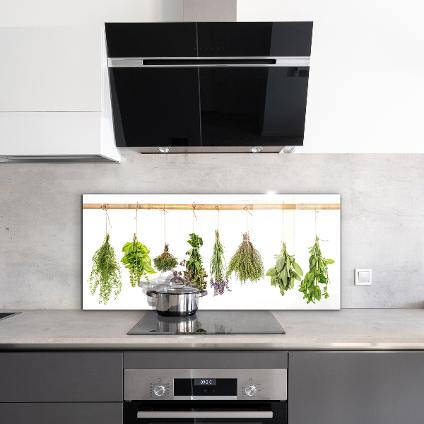 Kitchen wall panels Dried herbs power of nature