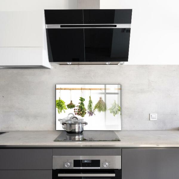 Kitchen wall panels Dried herbs power of nature