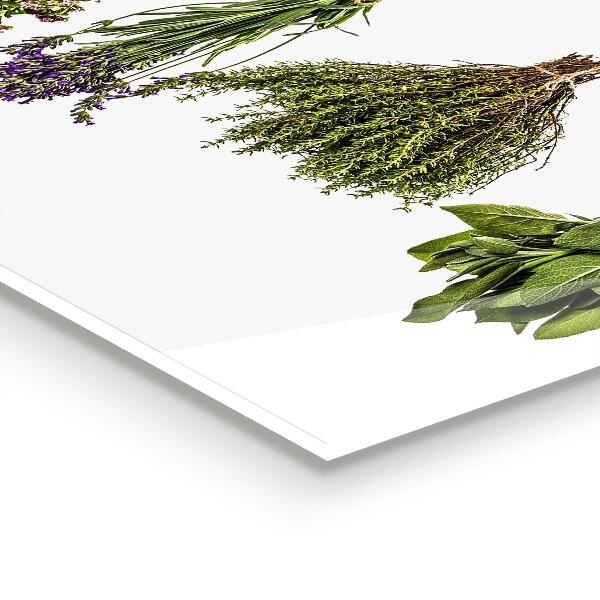 Kitchen wall panels Dried herbs power of nature