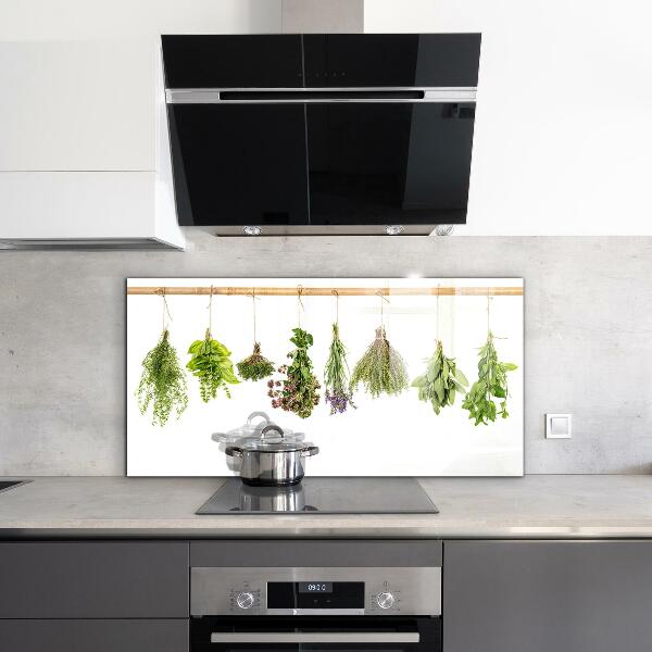 Kitchen wall panels Dried herbs power of nature