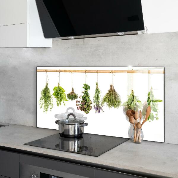 Kitchen wall panels Dried herbs power of nature