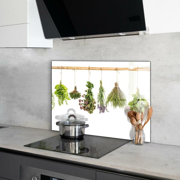Kitchen wall panels Dried herbs power of nature