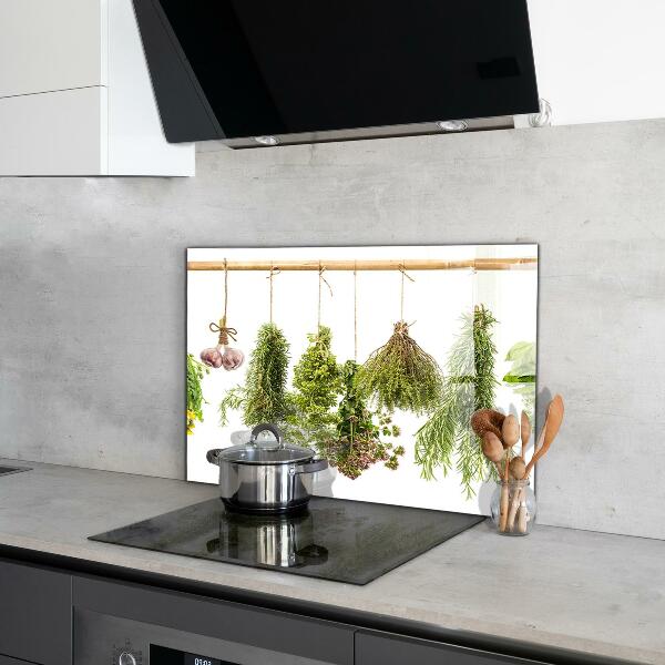 Kitchen wall panels Dried herbs herbal medicine