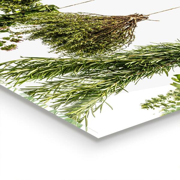 Kitchen wall panels Dried herbs herbal medicine