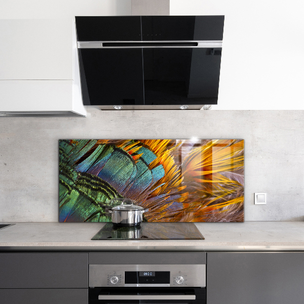 Oven splashback Exotic feathers