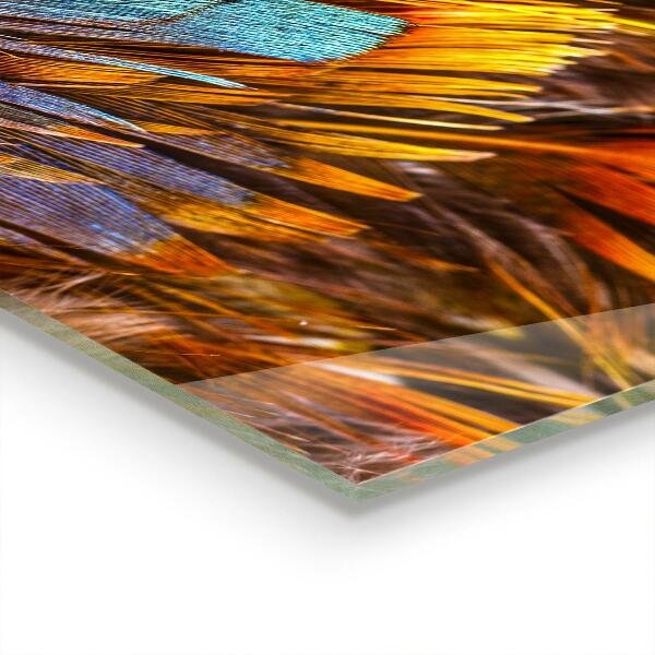 Oven splashback Exotic feathers