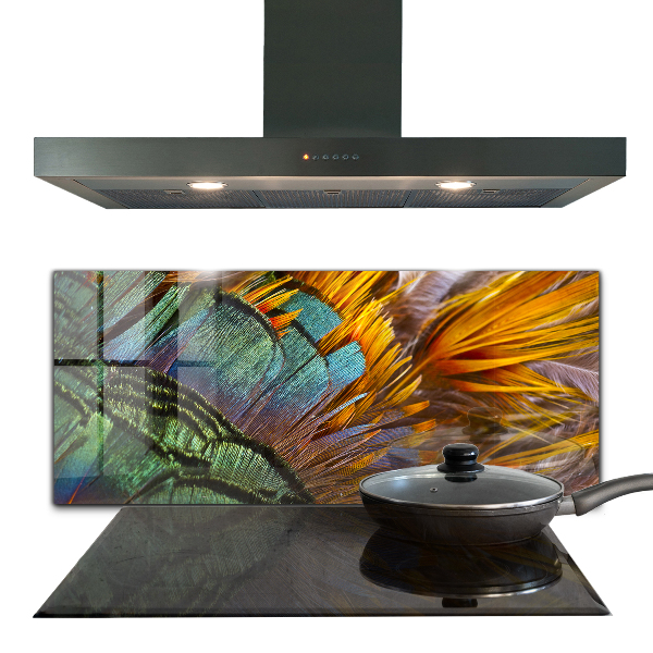 Oven splashback Exotic feathers