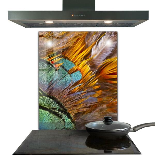 Oven splashback Exotic feathers