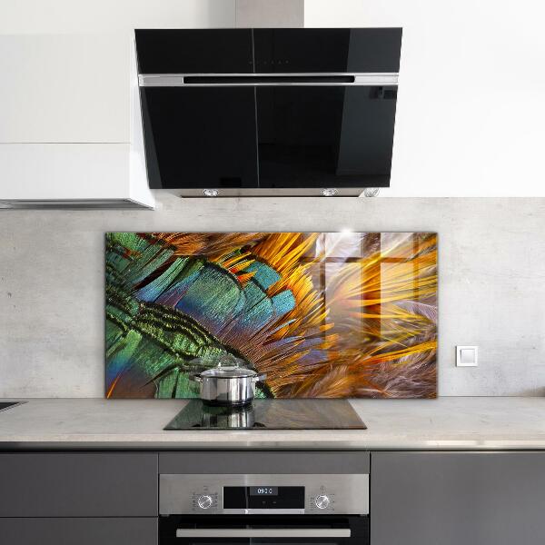 Oven splashback Exotic feathers