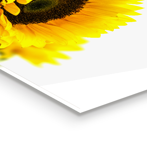 Kitchen glass panel Summer sunflower bouquet