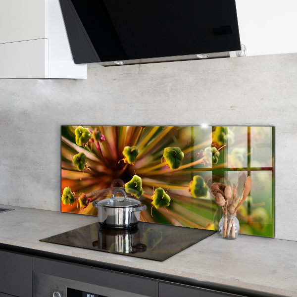 Kitchen glass panel Flower macro photography