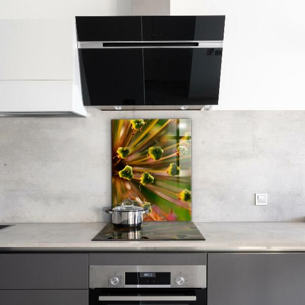 Kitchen glass panel Flower macro photography