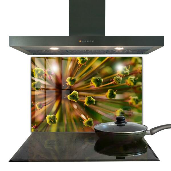 Kitchen glass panel Flower macro photography