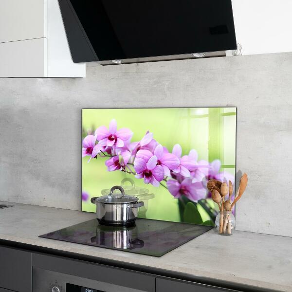 Kitchen glass panel Purple orchid