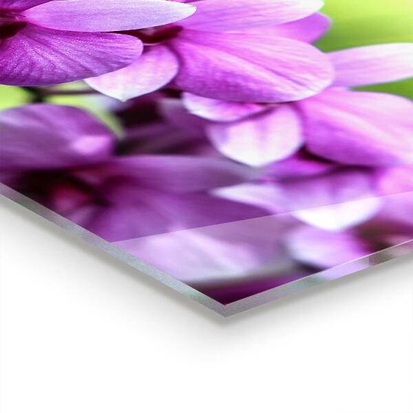 Kitchen glass panel Purple orchid