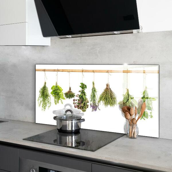 Kitchen wall panels Dried herbs healthy diet