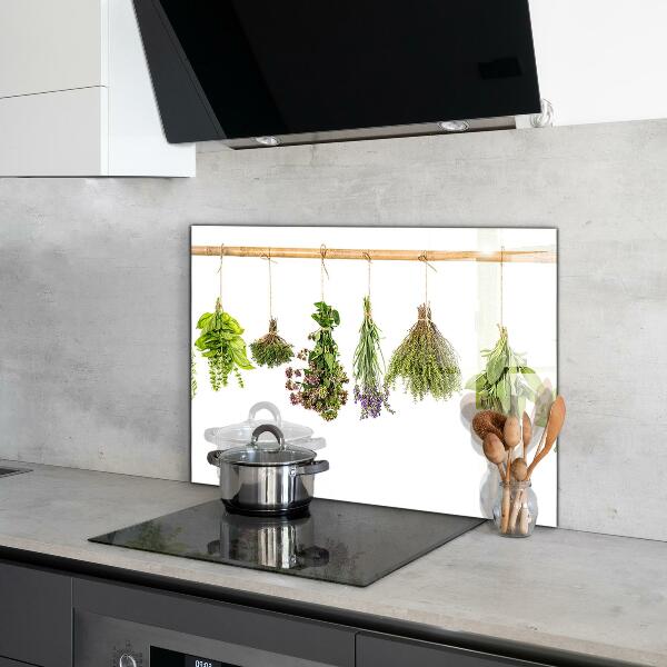 Kitchen wall panels Dried herbs healthy diet