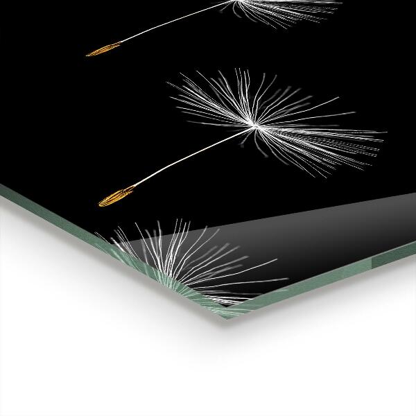 Kitchen glass panel Dandelions in the wind