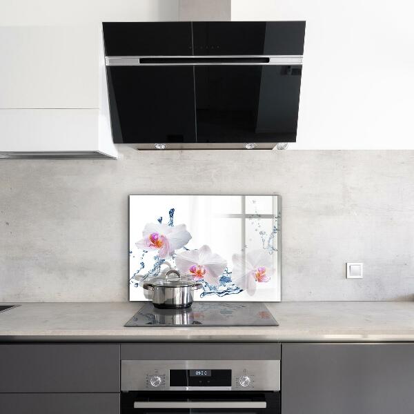 Kitchen glass panel Orchid sprinkled with water