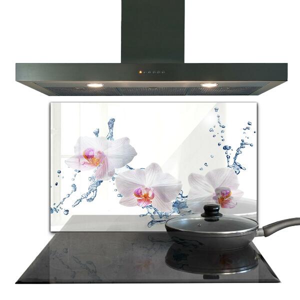 Kitchen glass panel Orchid sprinkled with water