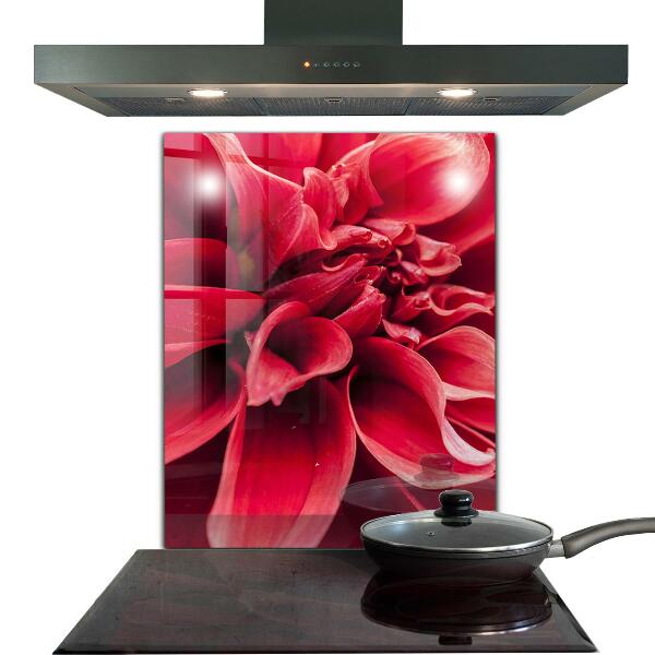 Kitchen glass panel Energetic flower power of nature