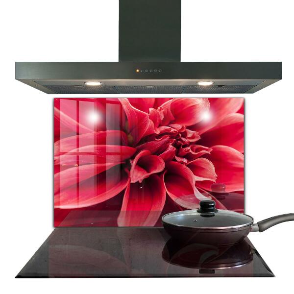 Kitchen glass panel Energetic flower power of nature