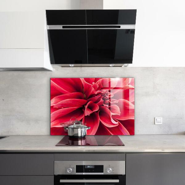 Kitchen glass panel Energetic flower power of nature
