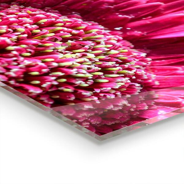 Kitchen glass panel Pink flower nature details