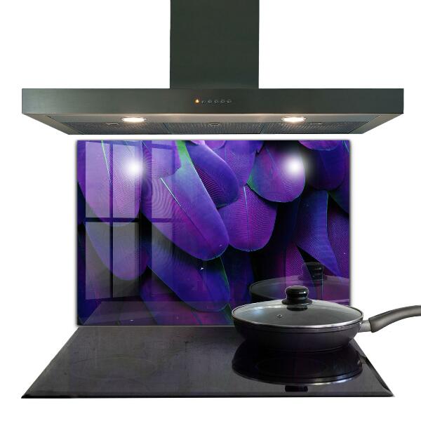 Oven splashback Exotic bird feathers