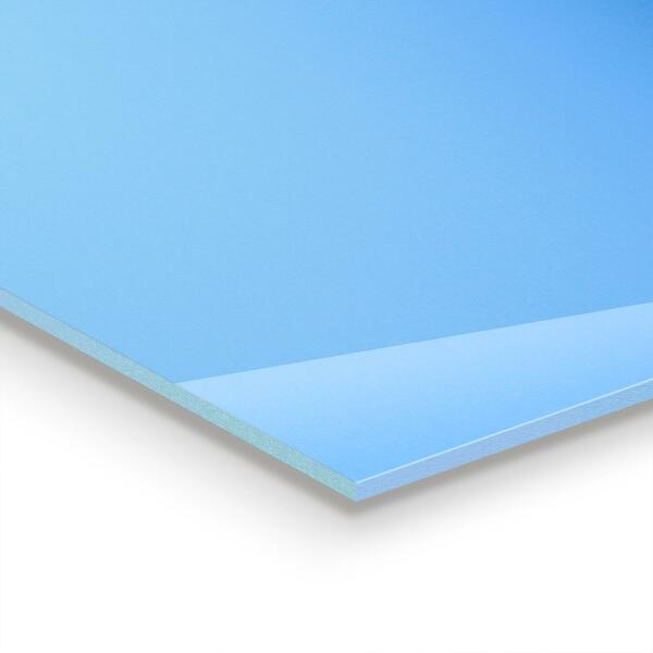 Kitchen glass panel Delicate dandelions