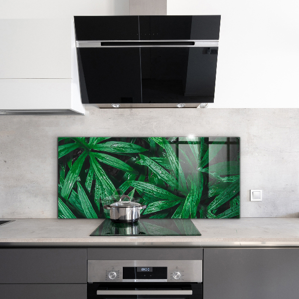 Kitchen glass panel Exotic jungle leaves