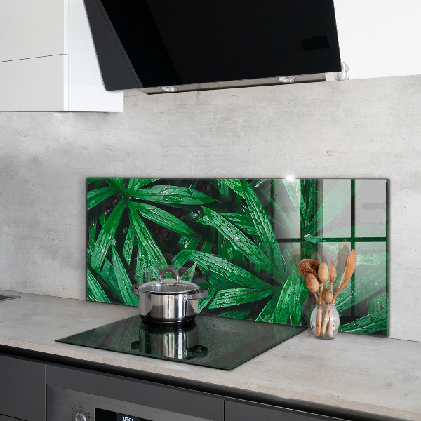 Kitchen glass panel Exotic jungle leaves