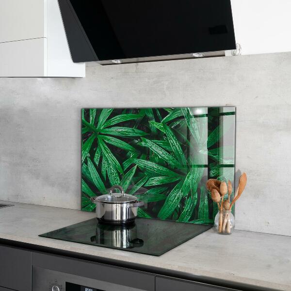 Kitchen glass panel Exotic jungle leaves