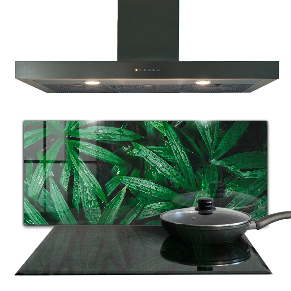 Kitchen glass panel Exotic jungle leaves