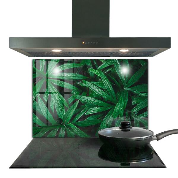 Kitchen glass panel Exotic jungle leaves
