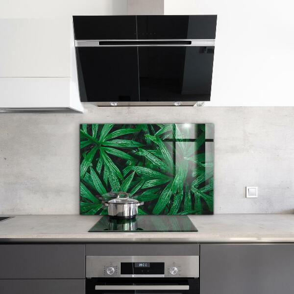 Kitchen glass panel Exotic jungle leaves