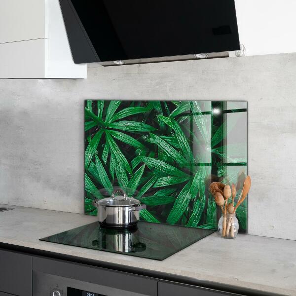Kitchen glass panel Exotic jungle leaves