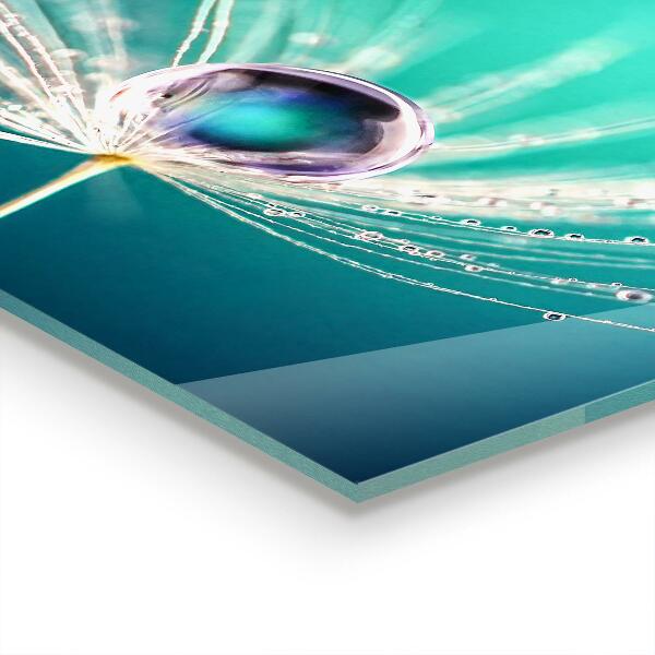 Kitchen glass panel Dandelion with a dew drop