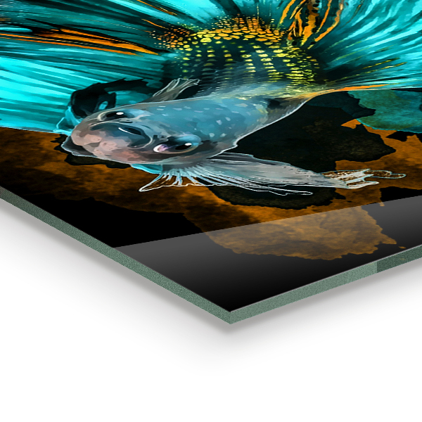 Kitchen wall panels Tropical fighting fish