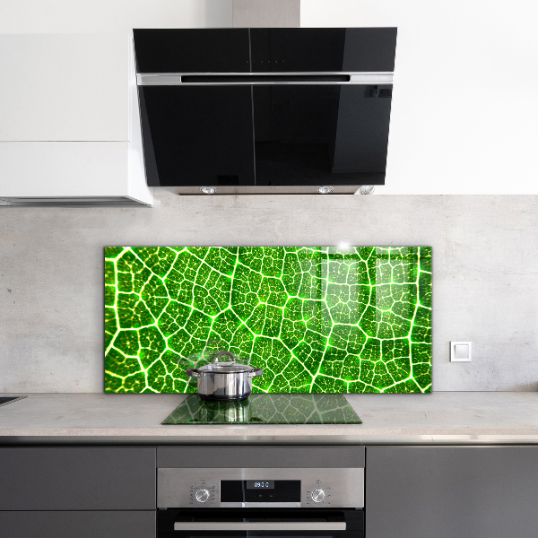 Kitchen glass panel The power of green botany