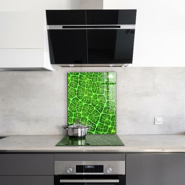 Kitchen glass panel The power of green botany