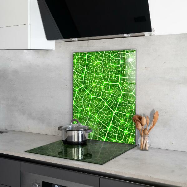 Kitchen glass panel The power of green botany
